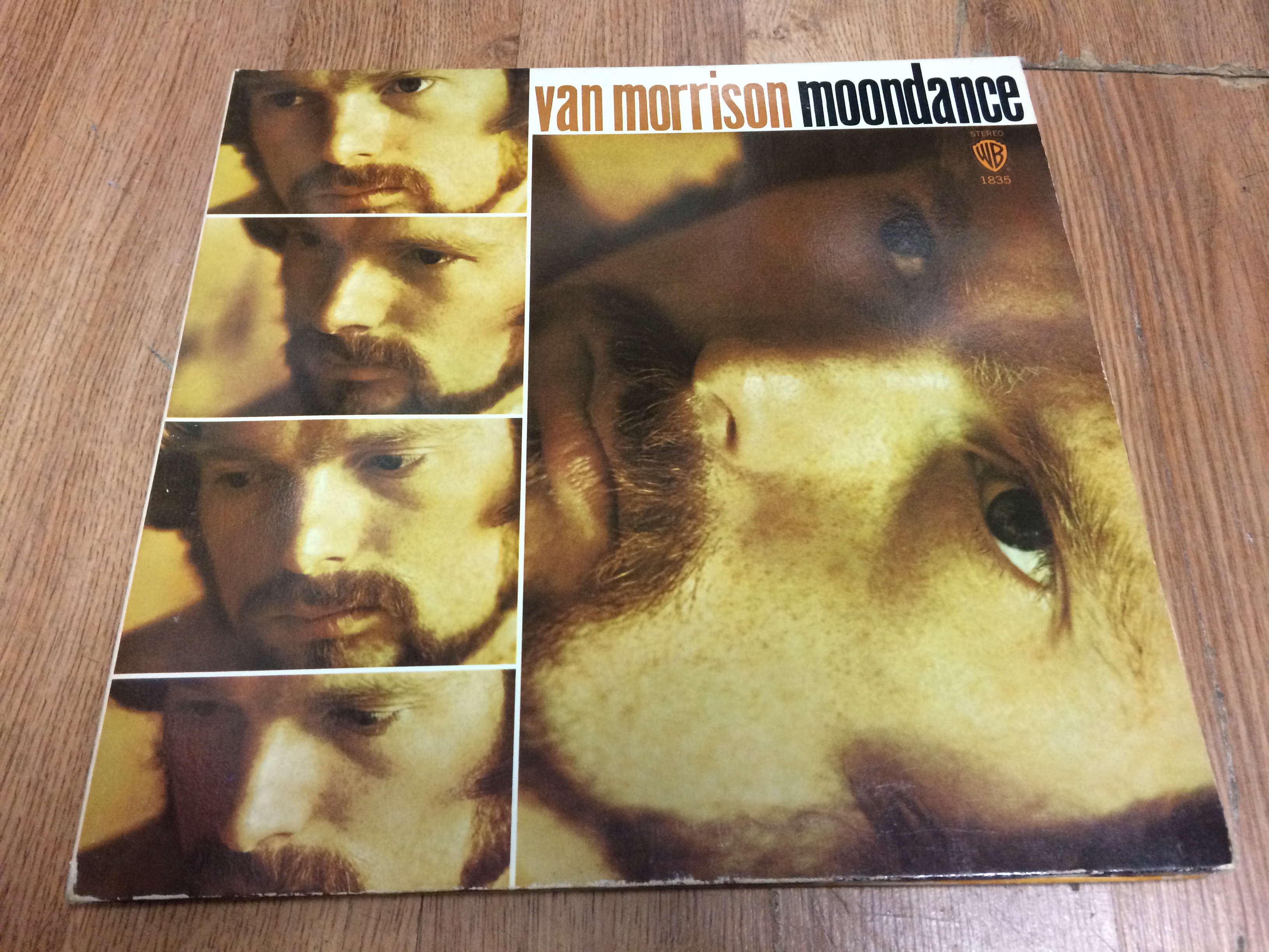 moondance van morrison vinyl